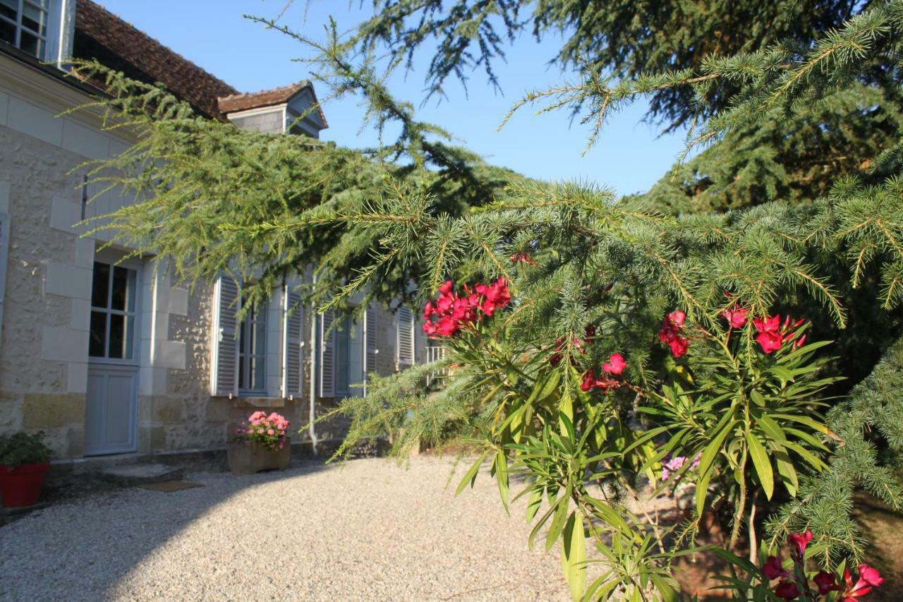 Bella Simonetta Bed and Breakfast Francueil Εξωτερικό φωτογραφία